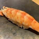 東京 京橋 鮨 黒潮海閤 - 