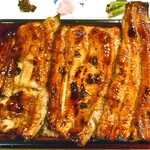 うなぎく - うな重特上（ご飯大盛り）
