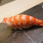 すゝき野 鮨金 - 車エビ