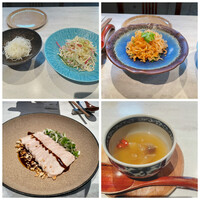 CINA New Modern Chinese - 