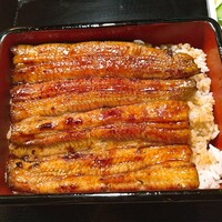 うなぎ 目白ぞろ芽 - 
