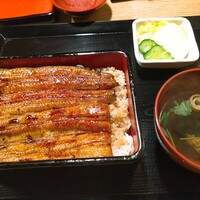 うなぎ 目白ぞろ芽 - 