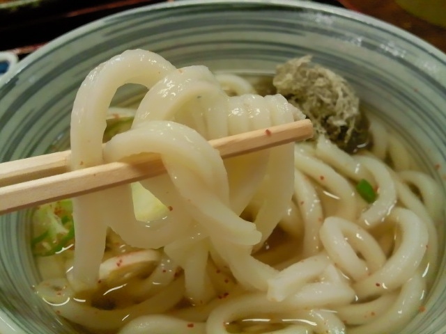 氷見うどん 美濃屋 富山店 （ひみうどんみのや） - 南富山