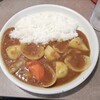 カレー道楽 - 野菜カレー(オリジナル/880円)