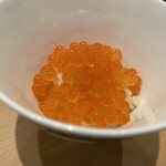 鮨 まつうら - 筋子丼　ここにきてこれは反則です　発育の良い赤ちゃんの様なパッツンパッツンの身が口中で弾けます