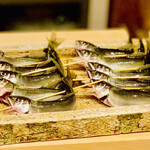 日本橋 蕎ノ字 - ◎朝獲れの鮎（静岡・天竜川）