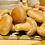 日本橋 蕎ノ字 - ◎杉山農園の椎茸。栽培中の玉取茸にモーツアルトを聞かせて愛情を注いで育てている。