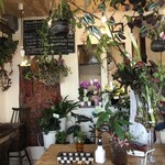Plants plants cafe - 毎回様変わりする店内のグリーンたち