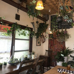 Plants plants cafe - どこに座るか迷ってしまいます