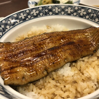 割烹 蒲焼 大沼 - 