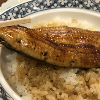 割烹 蒲焼 大沼 - 