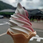 道の駅 長崎街道鈴田峠 - いちご&バニラ300円