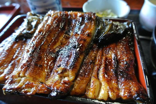 はせがわ 吉原本町 とんかつ 食べログ はせがわ 吉原本町 とんかつ 食べログ