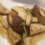 ペレグリーノ - 