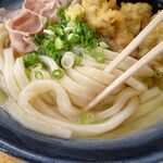自家製さぬきうどんと肉 新橋甚三 - 肉うどんスペシャル（特大３玉）890円