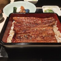 うなぎ 目白ぞろ芽 - 
