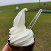 Gurinhirutawa - 料理写真:多和平ソフトクリーム