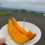 900草原レストハウス - 摩周メロン　2カット