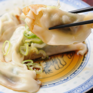 boiled Gyoza / Dumpling