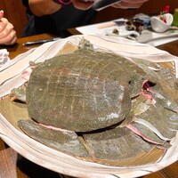 柳家錦 - 