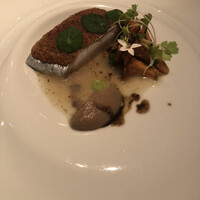 ジョンティ アッシュ - 