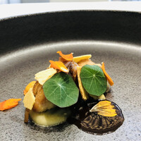 クイントカント - 