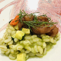 クイントカント - 