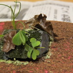 神保町 傳 - 苔のティラミス