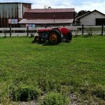 ヤツレン ソフトクリーム売店 - 朽ちたトラクターが良い雰囲気醸し出していた