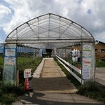 ヤツレン ソフトクリーム売店 - この先