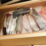 寿司栄 - インテリア　今日のネタ　魚貝