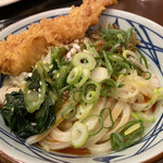 Marugame Seimen - 