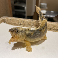 日本橋 蕎ノ字 - 鮎（天竜）