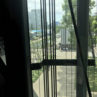 グリシーヌ - 