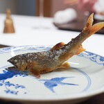 なかがわ 築地 天ぷら 食べログ なかがわ 築地 天ぷら 食べログ