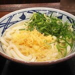 Marugame Seimen - かけ(並)320円 ちくわ天120円