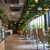 CORAL KITCHEN at garden - 内観写真: