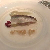 オザミトーキョー - 