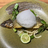 MOTORA  - 