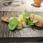 D'ORO HATSUDAI - 