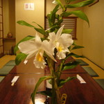 蘭亭ぽん多 - 店内