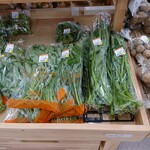 JA水郷つくば サンフレッシュ直売所 土浦店 - 7月上旬のとある日、出荷されていた空心菜（エンッアイ、筒菜のラベリング）は2軒