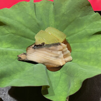 にくの匠 三芳 - 冬瓜と干し鮑　冷たいあんかけと