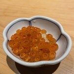 ヒカリモノ 鮨とツマミ - 