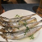 セルベセリア ハポロコ - 