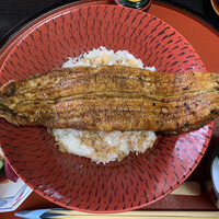 菊乃家 - うなぎ大名