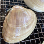 いさりび食堂 - 