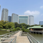 オールデイダイニング セリーズ - 浜離宮から見えるコンラッド