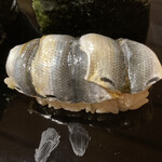 九段下　寿司政 - ⒎しんこ 