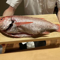 米増 - 舞鶴から2kgのノドグロ